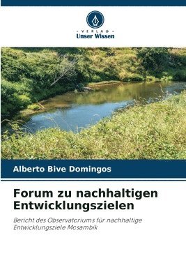 bokomslag Forum zu nachhaltigen Entwicklungszielen