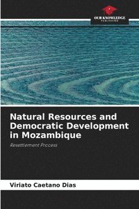 bokomslag Natural Resources and Democratic Development in Mozambique