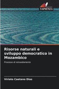 bokomslag Risorse naturali e sviluppo democratico in Mozambico