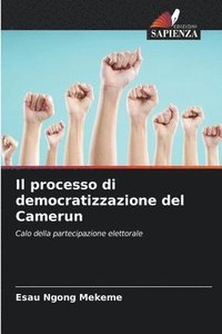 bokomslag Il processo di democratizzazione del Camerun