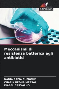 bokomslag Meccanismi di resistenza batterica agli antibiotici