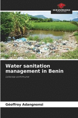 bokomslag Water sanitation management in Benin