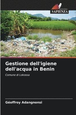 bokomslag Gestione dell'igiene dell'acqua in Benin