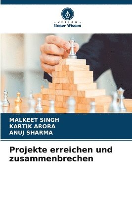 bokomslag Projekte erreichen und zusammenbrechen