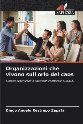 Organizzazioni che vivono sull'orlo del caos 1