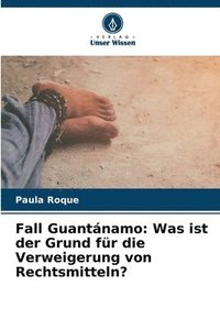 bokomslag Fall Guantnamo
