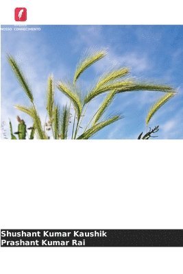 Efeito do corante de polmero, do fungicida e do tratamento de armazenamento em sementes de trigo 1