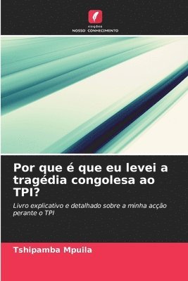 bokomslag Por que  que eu levei a tragdia congolesa ao TPI?