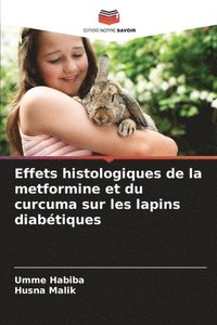 bokomslag Effets histologiques de la metformine et du curcuma sur les lapins diabtiques
