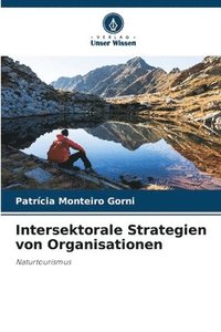 bokomslag Intersektorale Strategien von Organisationen