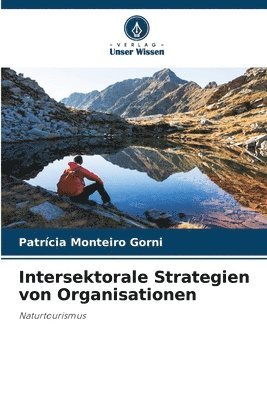 Intersektorale Strategien von Organisationen 1