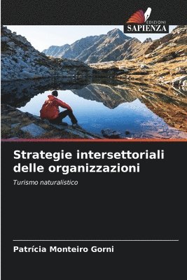 Strategie intersettoriali delle organizzazioni 1