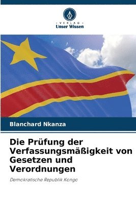 bokomslag Die Prfung der Verfassungsmigkeit von Gesetzen und Verordnungen