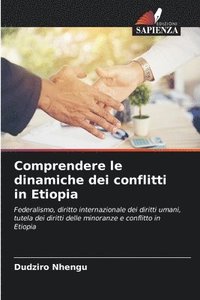 bokomslag Comprendere le dinamiche dei conflitti in Etiopia