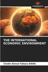 bokomslag The International Economic Environment