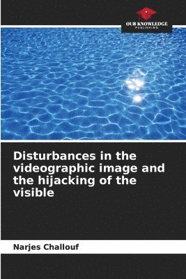 bokomslag Disturbances in the videographic image and the hijacking of the visible