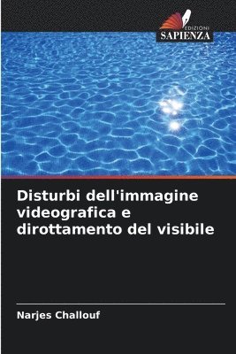 bokomslag Disturbi dell'immagine videografica e dirottamento del visibile