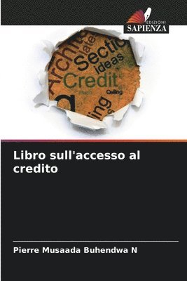 Libro sull'accesso al credito 1