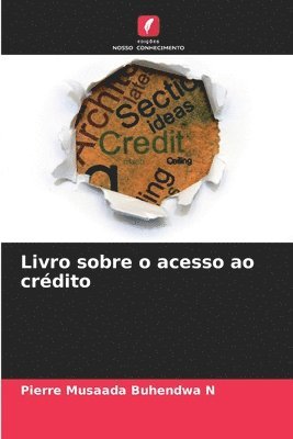 Livro sobre o acesso ao crdito 1