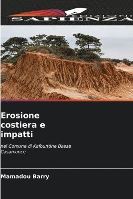 bokomslag Erosione costiera e impatti