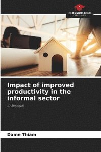 bokomslag Impact of improved productivity in the informal sector