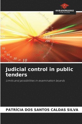 Judicial control in public tenders 1