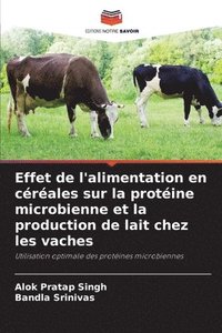 bokomslag Effet de l'alimentation en crales sur la protine microbienne et la production de lait chez les vaches