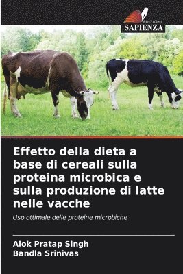 Effetto della dieta a base di cereali sulla proteina microbica e sulla produzione di latte nelle vacche 1
