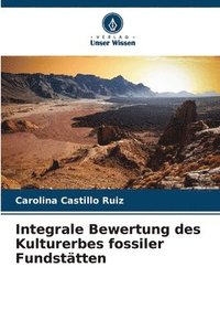bokomslag Integrale Bewertung des Kulturerbes fossiler Fundsttten
