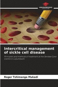 bokomslag Intercritical management of sickle cell disease