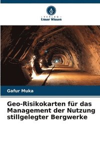 bokomslag Geo-Risikokarten fr das Management der Nutzung stillgelegter Bergwerke