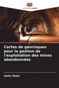 bokomslag Cartes de gorisques pour la gestion de l'exploitation des mines abandonnes