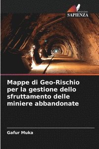 bokomslag Mappe di Geo-Rischio per la gestione dello sfruttamento delle miniere abbandonate