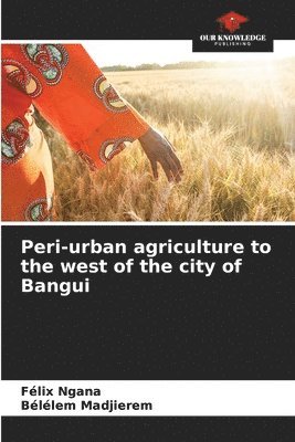 Peri-urban agriculture to the west of the city of Bangui 1