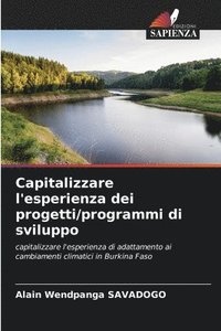 bokomslag Capitalizzare l'esperienza dei progetti/programmi di sviluppo