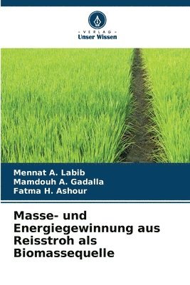 Masse- und Energiegewinnung aus Reisstroh als Biomassequelle 1