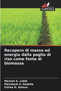bokomslag Recupero di massa ed energia dalla paglia di riso come fonte di biomassa