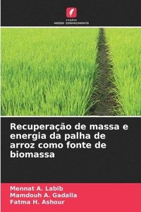 bokomslag Recuperao de massa e energia da palha de arroz como fonte de biomassa