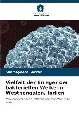 Vielfalt der Erreger der bakteriellen Welke in Westbengalen, Indien 1