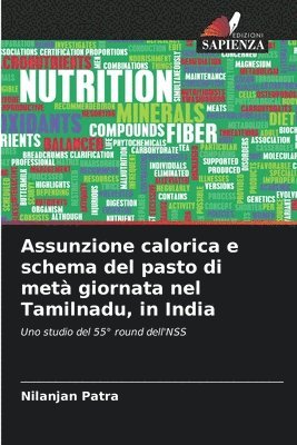 Assunzione calorica e schema del pasto di met giornata nel Tamilnadu, in India 1