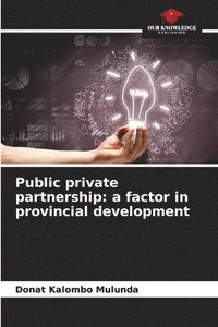 bokomslag Public private partnership