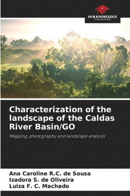Characterization of the landscape of the Caldas River Basin/GO 1