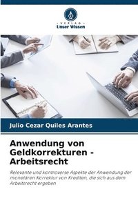 bokomslag Anwendung von Geldkorrekturen - Arbeitsrecht