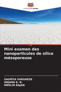 bokomslag Mini examen des nanoparticules de silice msoporeuse