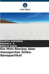 bokomslag Ein Mini-Review ber mesoporse Silika-Nanopartikel