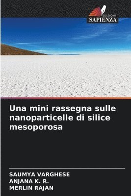 Una mini rassegna sulle nanoparticelle di silice mesoporosa 1