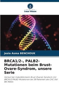 bokomslag BRCA1/2-, PALB2-Mutationen beim Brust-Ovare-Syndrom, unsere Serie