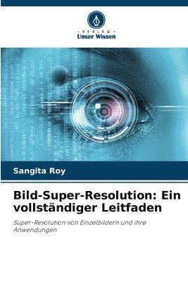 Bild-Super-Resolution 1