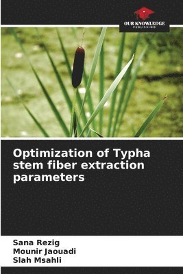 Optimization of Typha stem fiber extraction parameters 1