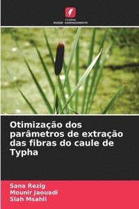 bokomslag Otimizao dos parmetros de extrao das fibras do caule de Typha